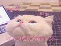 句容联众创鑫景观标识有限公司