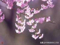 句容联众创鑫景观标识有限公司