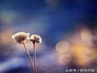 句容联众创鑫景观标识有限公司