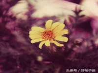 句容联众创鑫景观标识有限公司