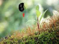 句容联众创鑫景观标识有限公司