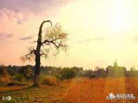 句容联众创鑫景观标识有限公司