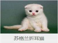 句容联众创鑫景观标识有限公司