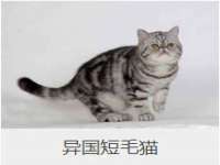 句容联众创鑫景观标识有限公司