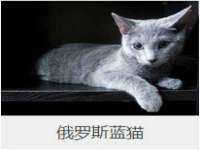 句容联众创鑫景观标识有限公司