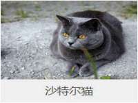 句容联众创鑫景观标识有限公司