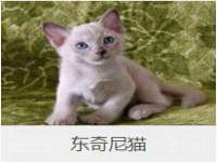 句容联众创鑫景观标识有限公司