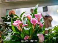 句容联众创鑫景观标识有限公司