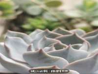 句容联众创鑫景观标识有限公司