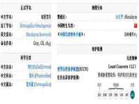 句容联众创鑫景观标识有限公司