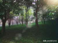 句容联众创鑫景观标识有限公司