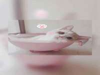 句容联众创鑫景观标识有限公司
