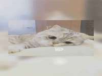 句容联众创鑫景观标识有限公司