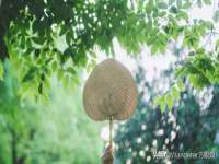 句容联众创鑫景观标识有限公司