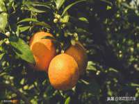 句容联众创鑫景观标识有限公司