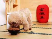 句容联众创鑫景观标识有限公司