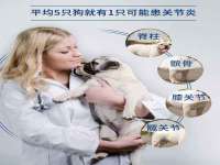 句容联众创鑫景观标识有限公司