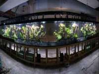 句容联众创鑫景观标识有限公司