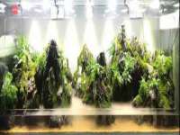 句容联众创鑫景观标识有限公司