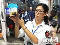 句容联众创鑫景观标识有限公司
