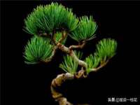 句容联众创鑫景观标识有限公司
