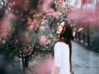 句容联众创鑫景观标识有限公司